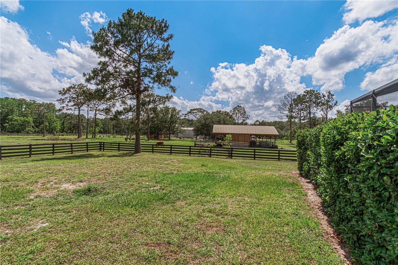New Smyrna Beach, Florida, 32168, United States, 4 Bedrooms Bedrooms, ,4 BathroomsBathrooms,Residential,Active,2052065