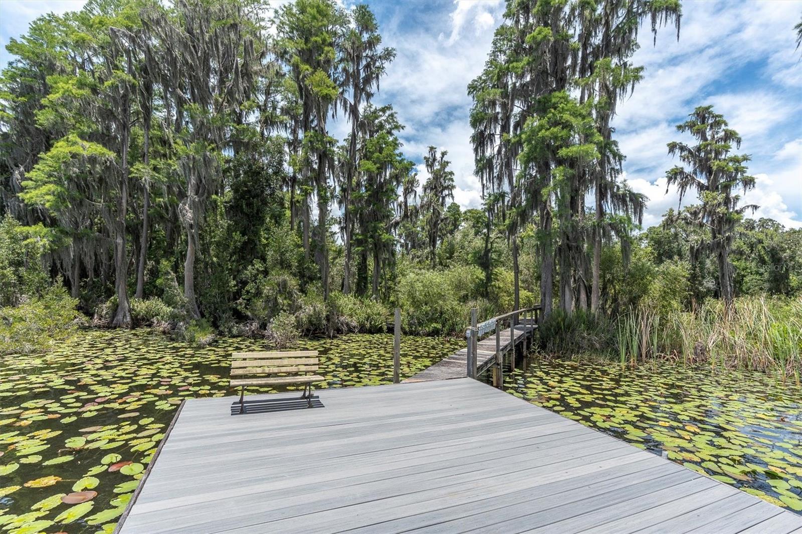 Odessa, Florida, 33556, United States, 4 Bedrooms Bedrooms, ,3 BathroomsBathrooms,Residential,Active,1871641