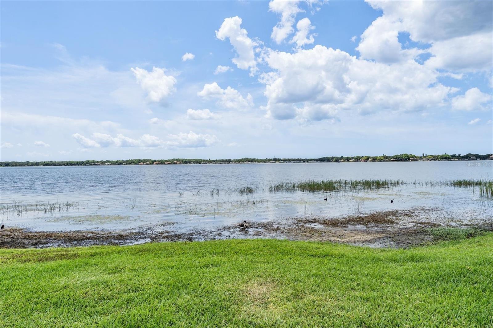 Palm Harbor, Florida, 34685, United States, ,4 BathroomsBathrooms,Residential,Active,1810371