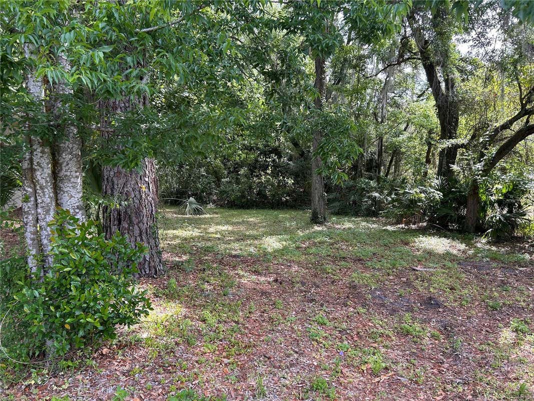 TBD SE 12TH STREET, GAINESVILLE, FL 32641, photo 1 of 3