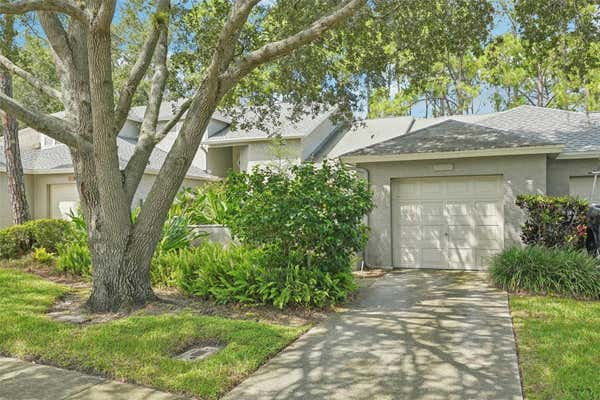 126 STEEPLECHASE LN, PALM HARBOR, FL 34684 - Image 1