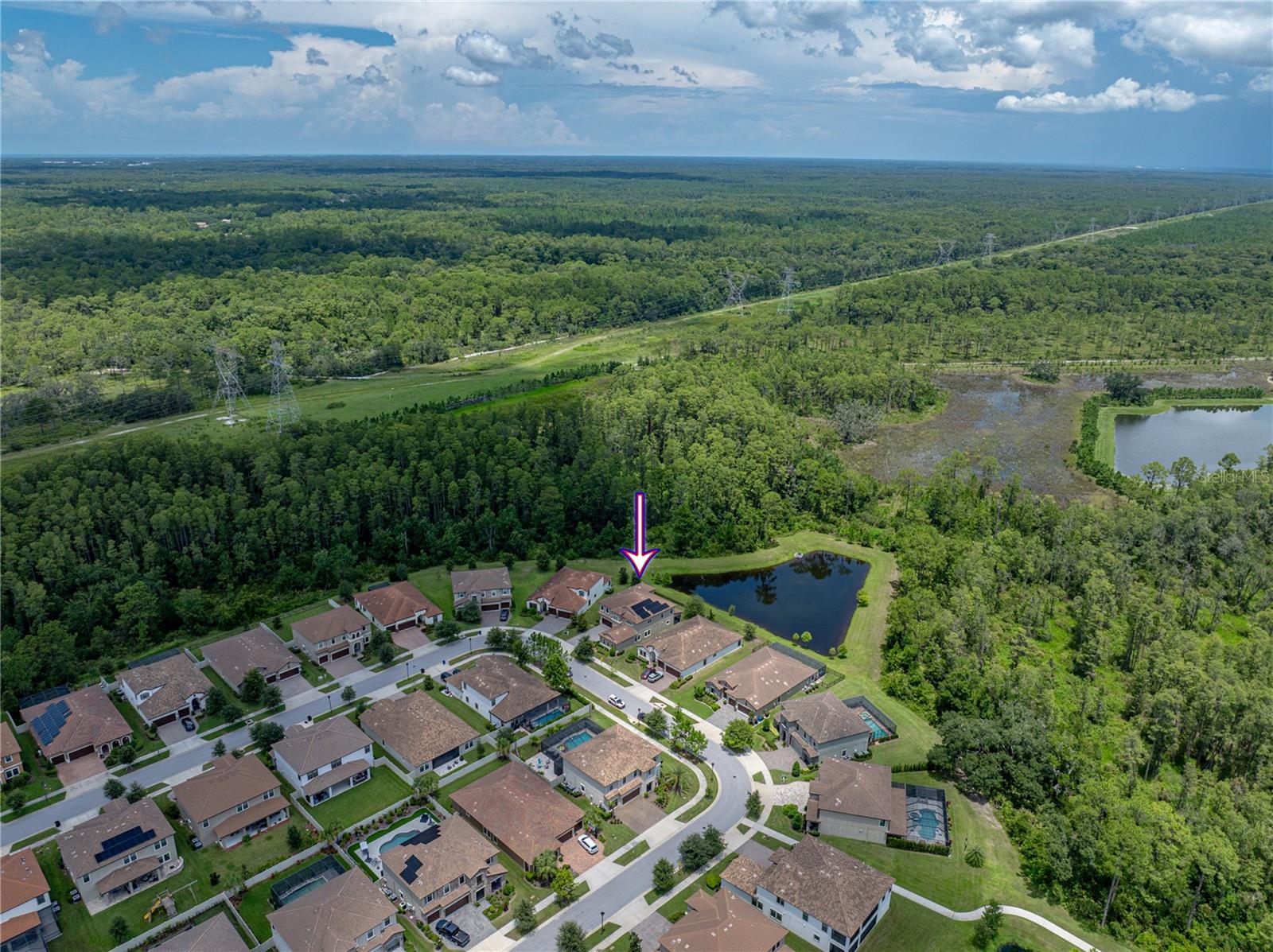Odessa, Florida, 33556, United States, 5 Bedrooms Bedrooms, ,5 BathroomsBathrooms,Residential,Active,1909867