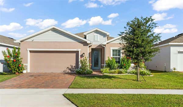 317 WINTER BLISS LN, MOUNT DORA, FL 32757 - Image 1