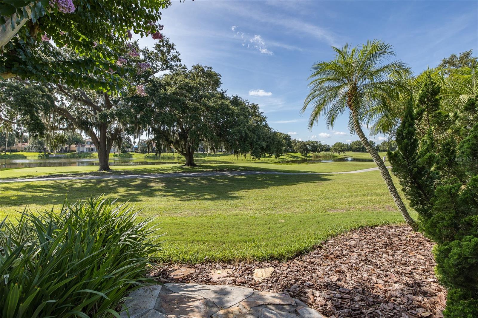 Trinity, Florida, 34655, United States, 4 Bedrooms Bedrooms, ,4 BathroomsBathrooms,Residential,Active,1892429