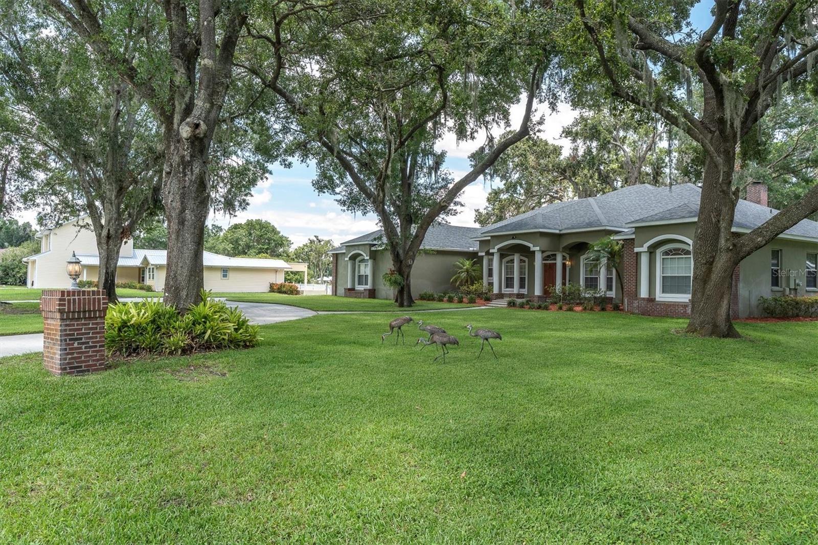 Odessa, Florida, 33556, United States, 4 Bedrooms Bedrooms, ,3 BathroomsBathrooms,Residential,Active,1871641