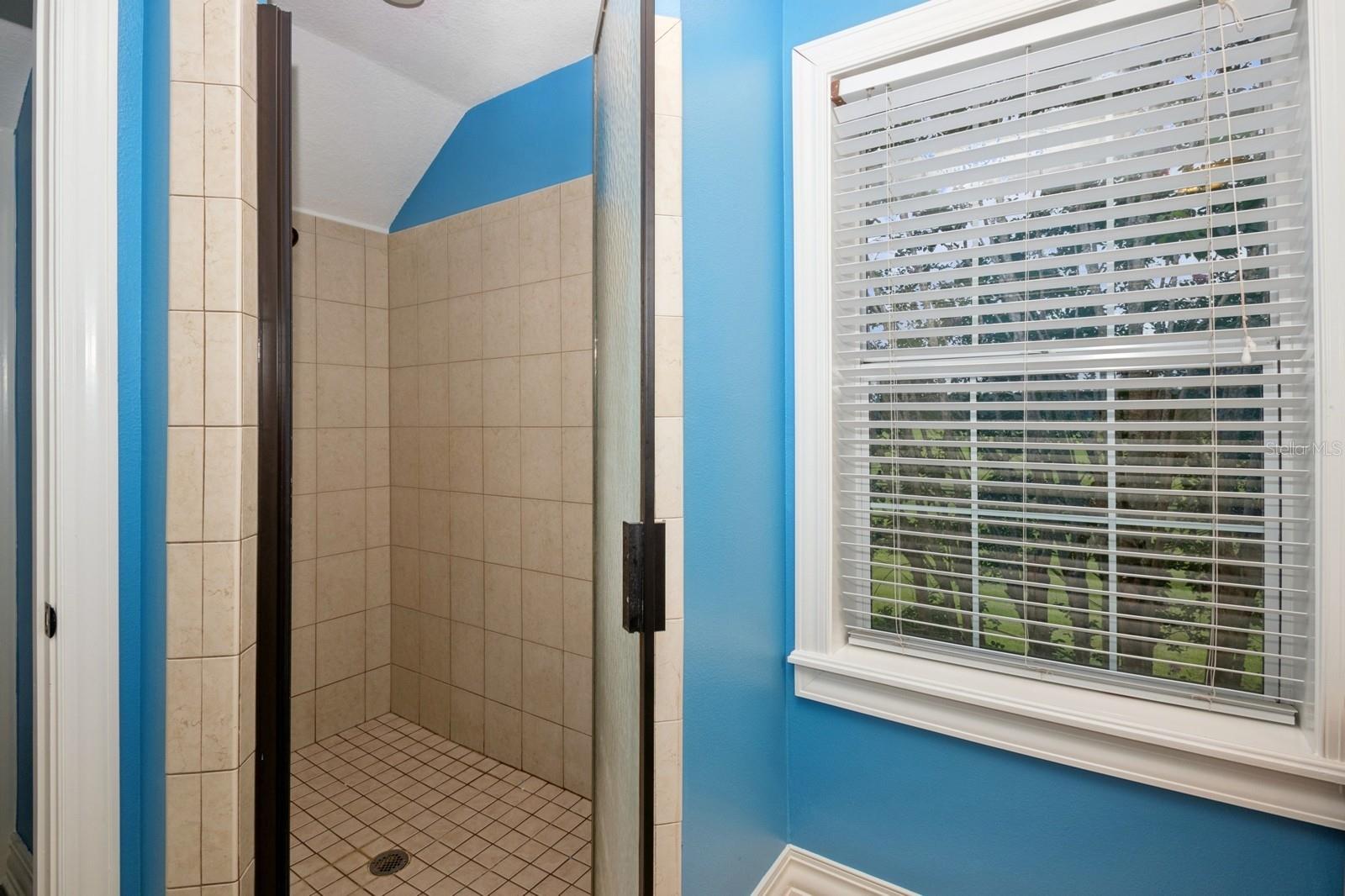 Fruitland Park, Florida, 34731, United States, 7 Bedrooms Bedrooms, ,6 BathroomsBathrooms,Residential,Active,1894791