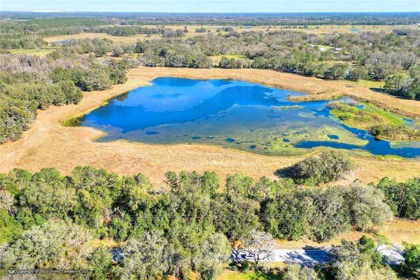 8609 BACK RD, PLANT CITY, FL 33565, photo 3 of 19