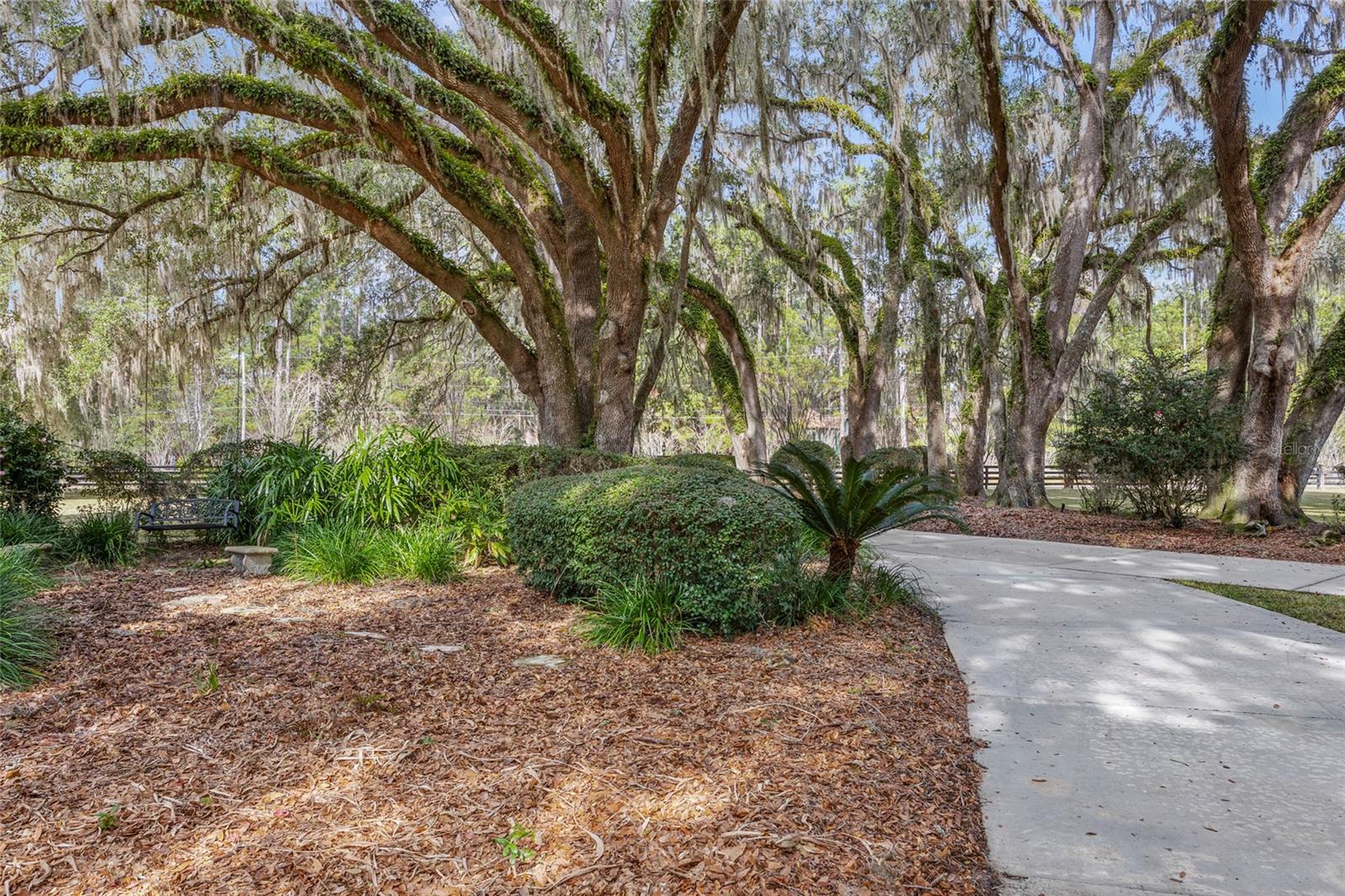 Alachua, Florida, 32615, United States, 5 Bedrooms Bedrooms, ,7 BathroomsBathrooms,Residential,Active,2009170