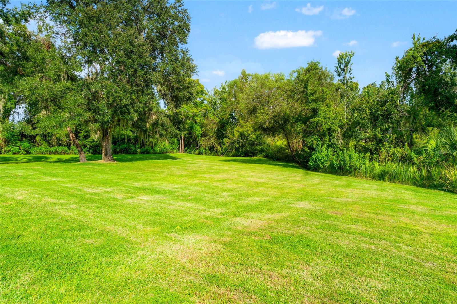 Lutz, Florida, 33549, United States, 7 Bedrooms Bedrooms, ,5 BathroomsBathrooms,Residential,Active,1934823