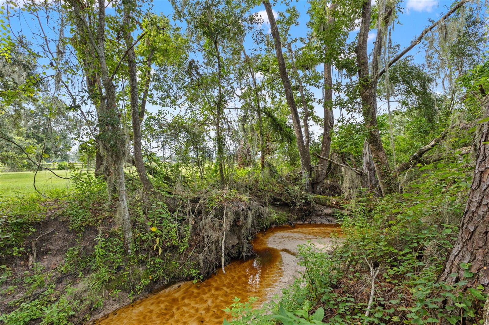 Brooksville, Florida, 34602, United States, 4 Bedrooms Bedrooms, ,6 BathroomsBathrooms,Residential,Active,1919396