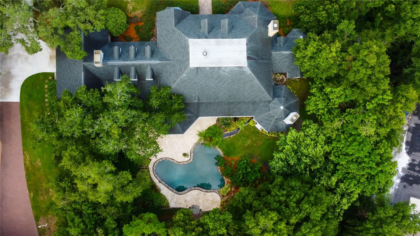 Palm Harbor, Florida, 34683, United States, ,7 BathroomsBathrooms,Residential,Active,1701802