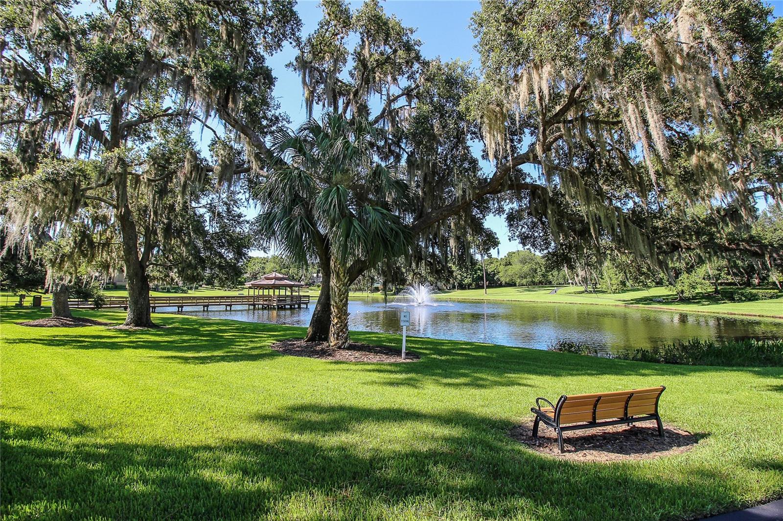 Palm Harbor, Florida, 34684, United States, 4 Bedrooms Bedrooms, ,4 BathroomsBathrooms,Residential,Active,1936412