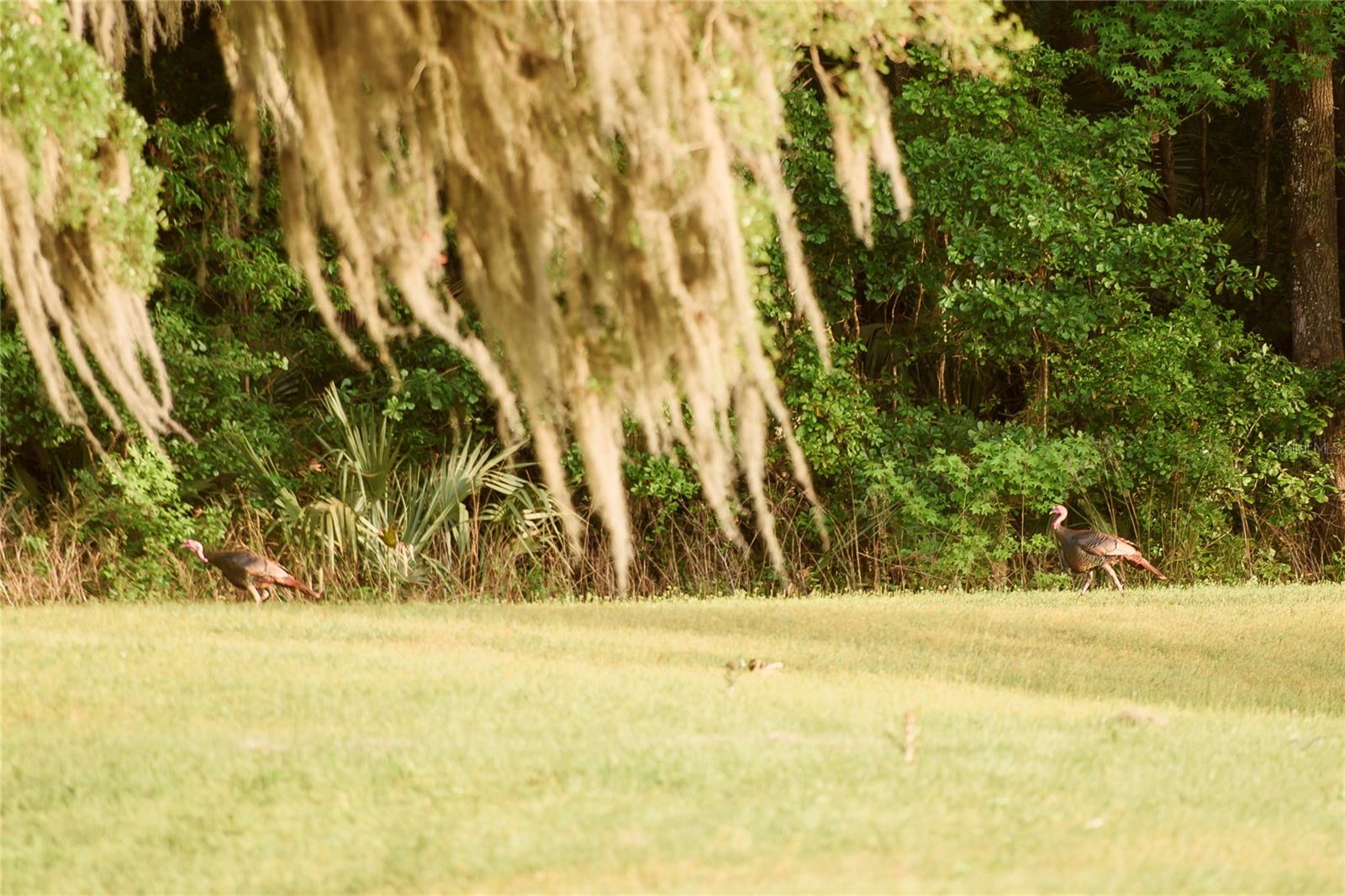 Gainesville, Florida, 32608, United States, 4 Bedrooms Bedrooms, ,3 BathroomsBathrooms,Residential,Active,1989761