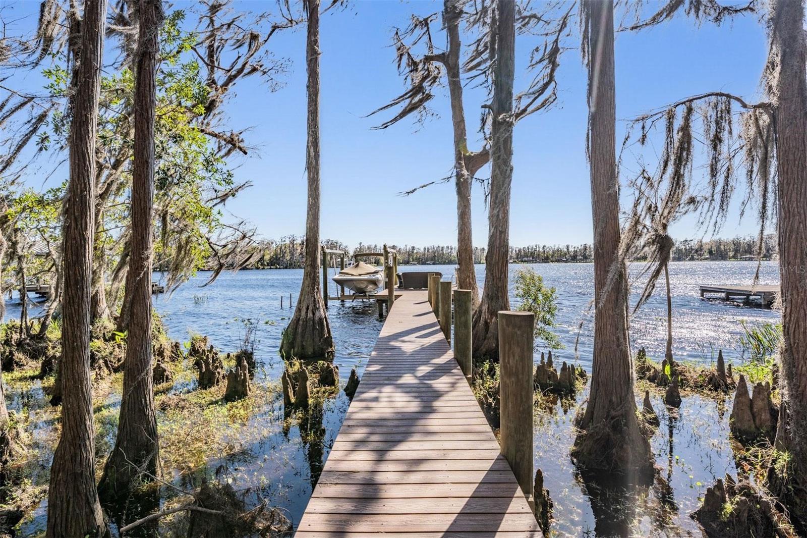 Odessa, Florida, 33556, United States, 5 Bedrooms Bedrooms, ,4 BathroomsBathrooms,Residential,Active,1797950