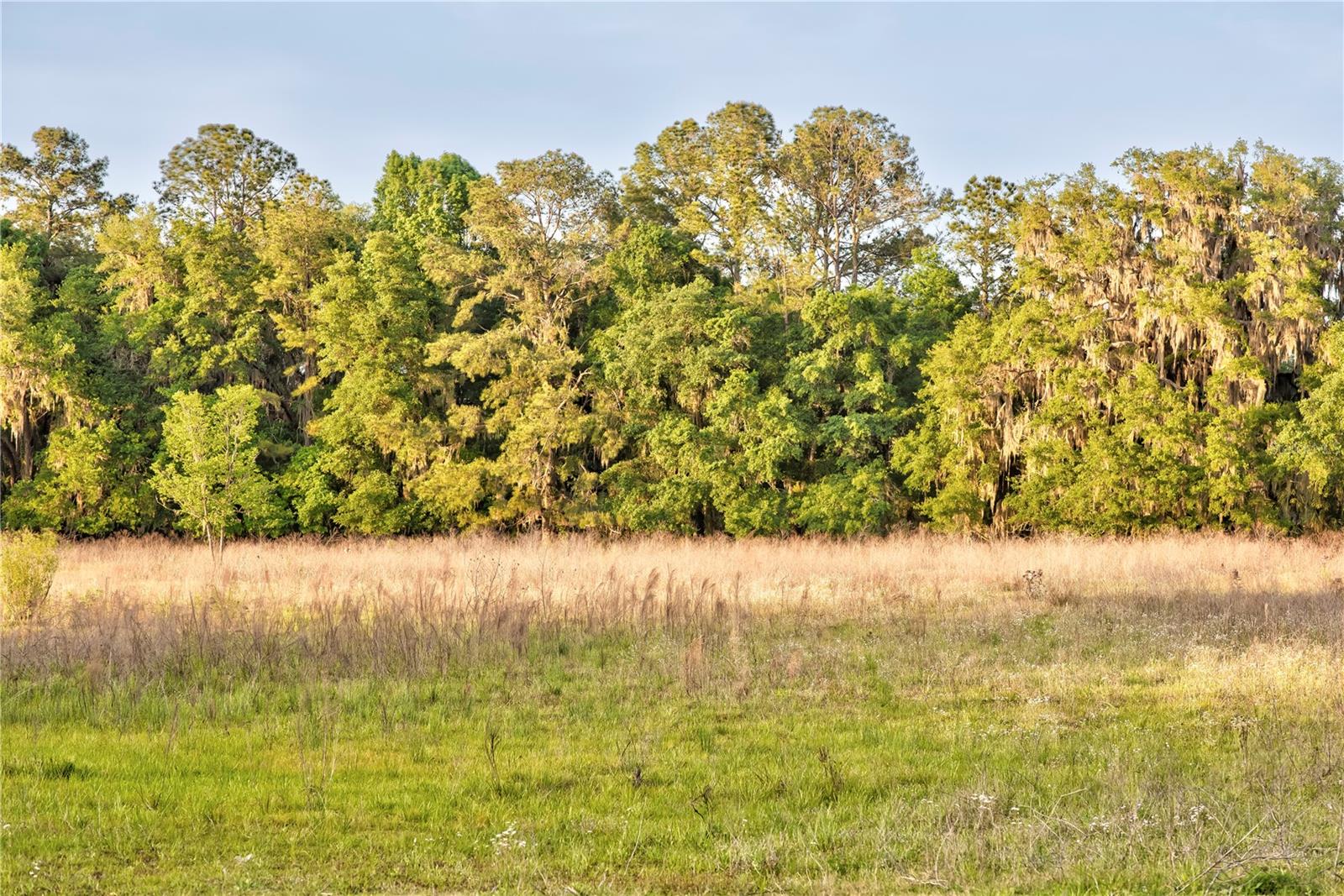 Gainesville, Florida, 32608, United States, 4 Bedrooms Bedrooms, ,3 BathroomsBathrooms,Residential,Active,1989761