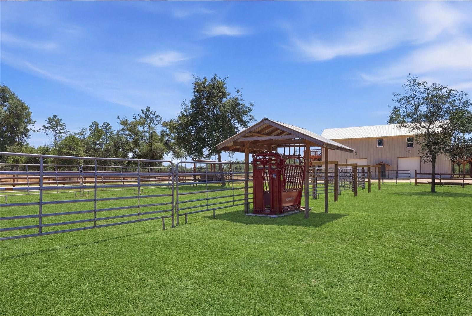 Dunnellon, Florida, 34433, United States, 3 Bedrooms Bedrooms, ,2 BathroomsBathrooms,Residential,Active,2052129