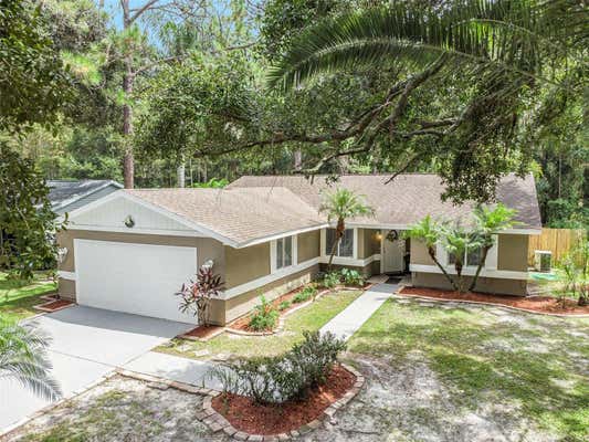 5344 BLACK PINE DR, TAMPA, FL 33624 - Image 1