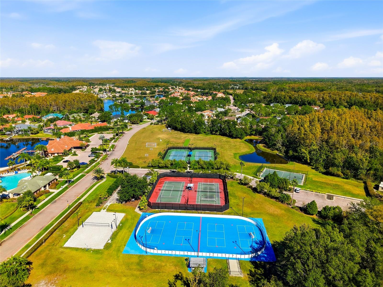 Tampa, Florida, 33647, United States, 5 Bedrooms Bedrooms, ,5 BathroomsBathrooms,Residential,Active,1990671