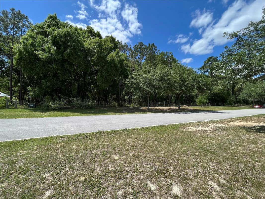 GRASS ROOTS RD, GROVELAND, FL 34736, photo 1 of 7