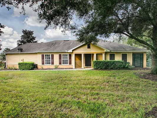 30520 LIPIZZAN TER, MOUNT DORA, FL 32757 - Image 1