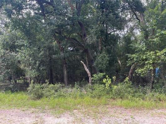 NORTH RD, ALTOONA, FL 32702 - Image 1