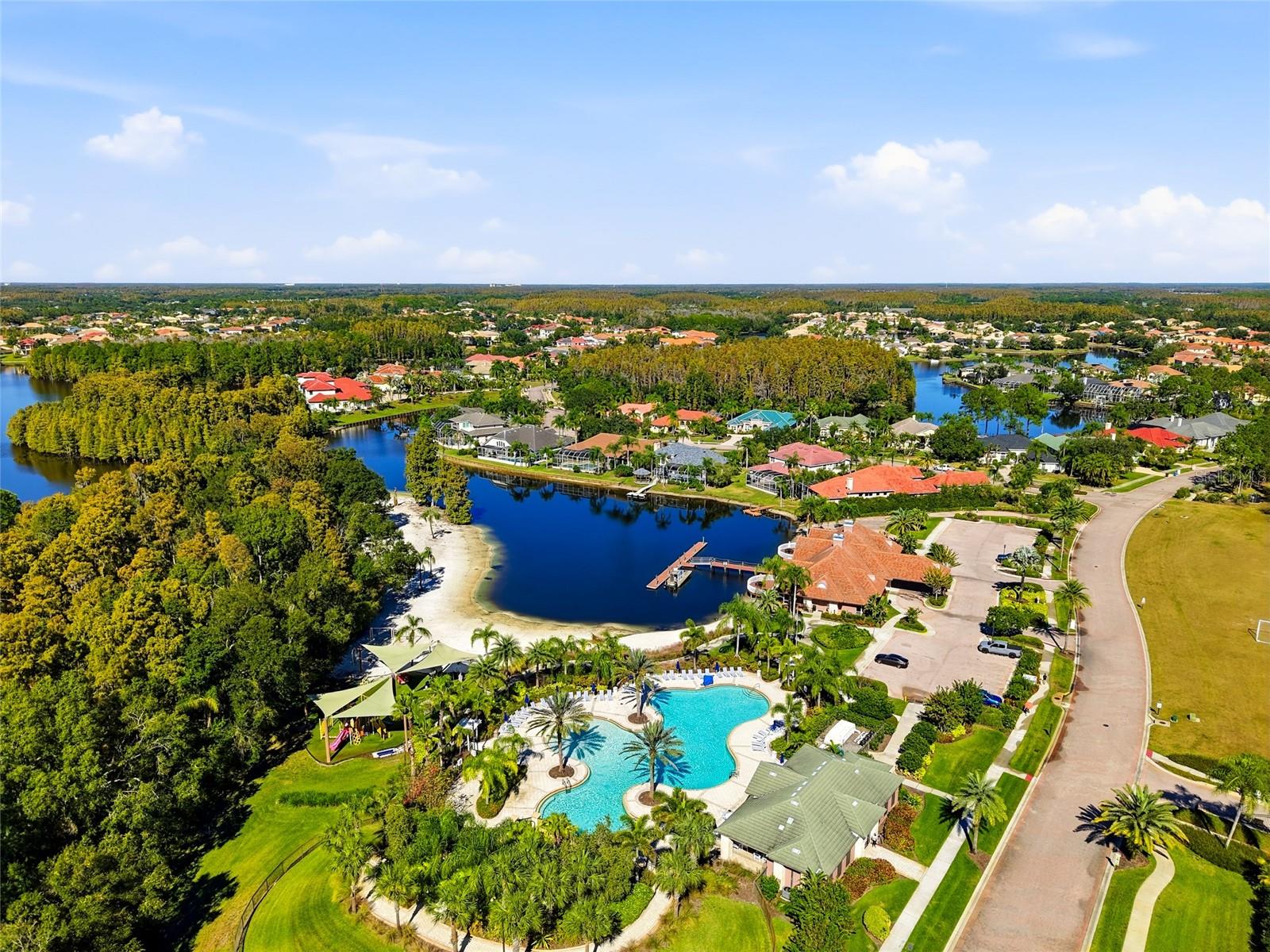 Tampa, Florida, 33647, United States, 5 Bedrooms Bedrooms, ,5 BathroomsBathrooms,Residential,Active,1990671