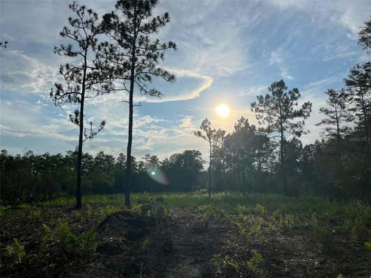 HOLOPAW RD, SAINT CLOUD, FL 34773 - Image 1