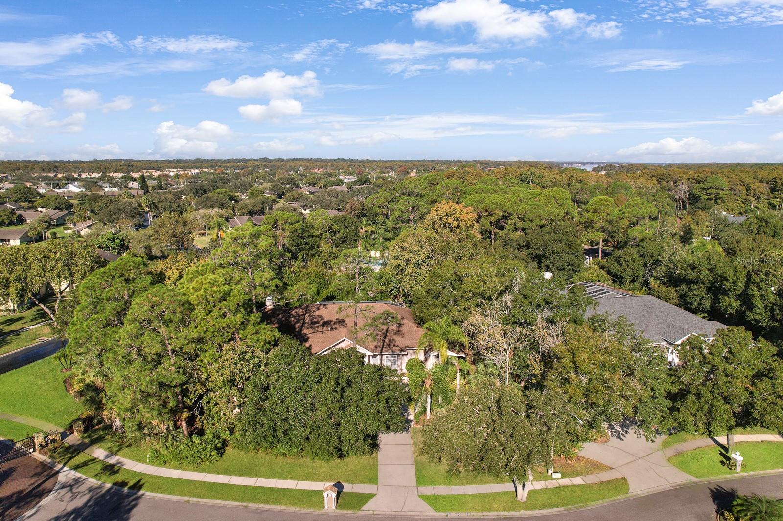 Oldsmar, Florida, 34677, United States, 5 Bedrooms Bedrooms, ,4 BathroomsBathrooms,Residential,Active,2009416