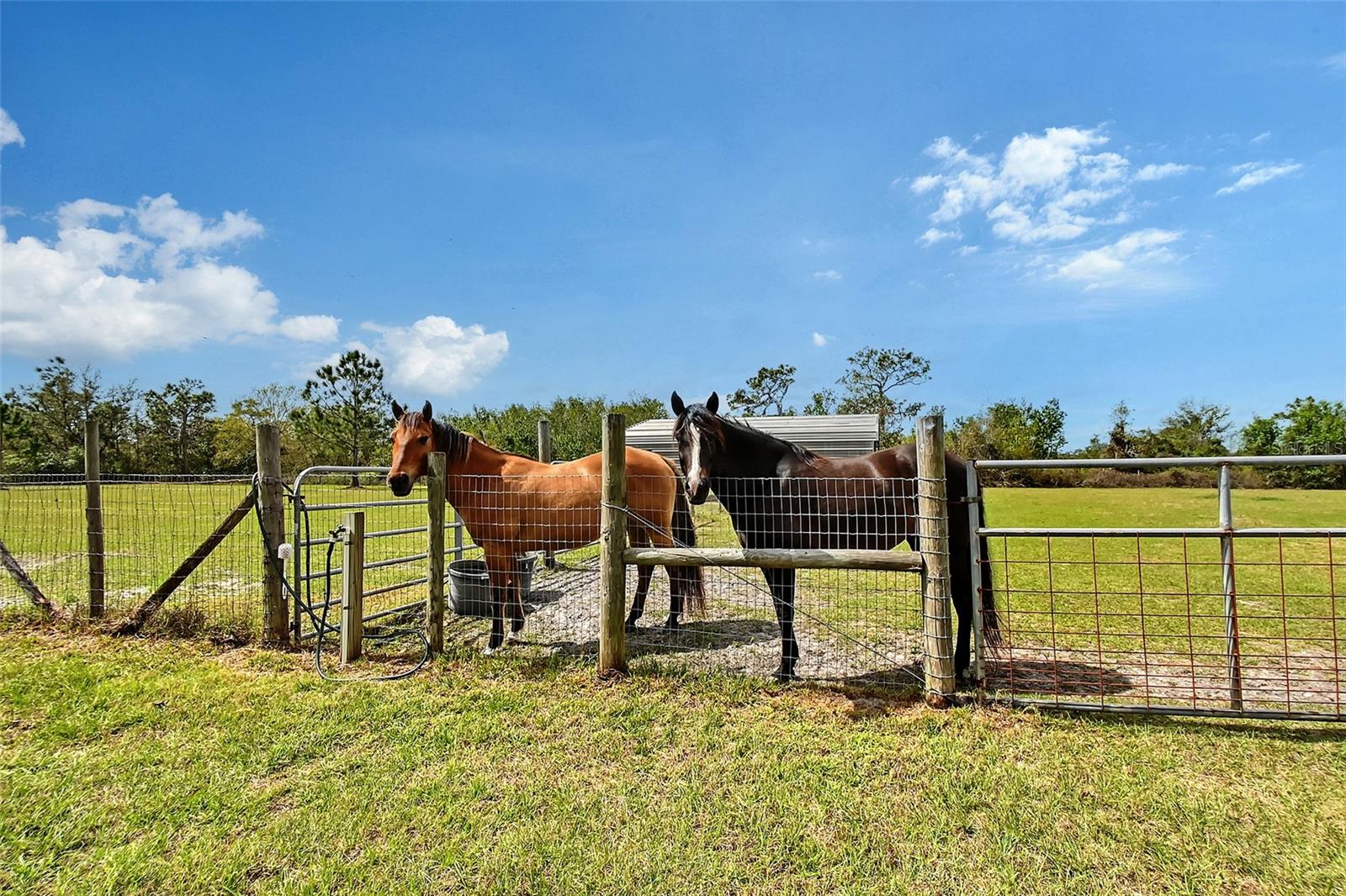 Bradenton, Florida, 34211, United States, 4 Bedrooms Bedrooms, ,3 BathroomsBathrooms,Residential,Active,1730719