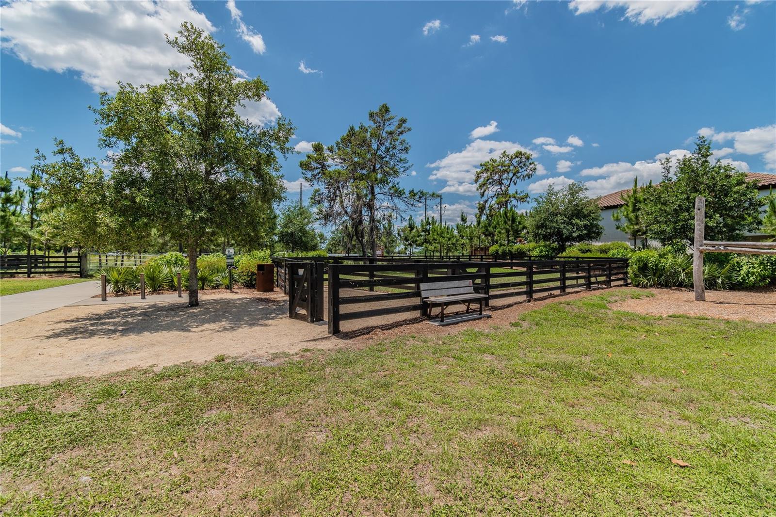 Odessa, Florida, 33556, United States, ,4 BathroomsBathrooms,Residential,Active,1869150