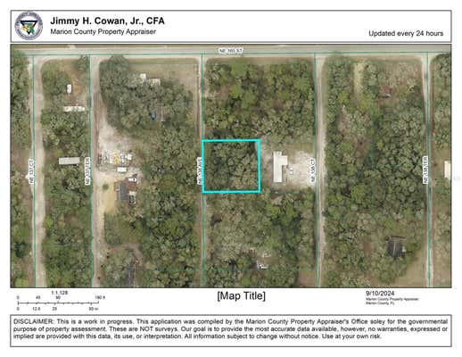 0 NE 138TH AVENUE, FORT MC COY, FL 32134 - Image 1