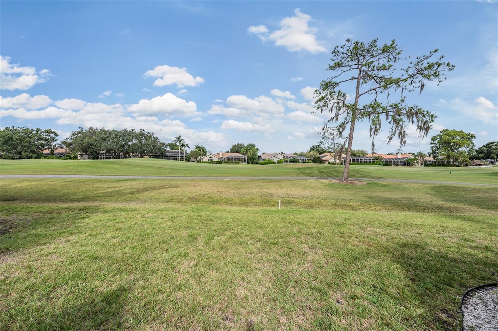 Oldsmar, Florida, 34677, United States, 5 Bedrooms Bedrooms, ,4 BathroomsBathrooms,Residential,Active,1946542