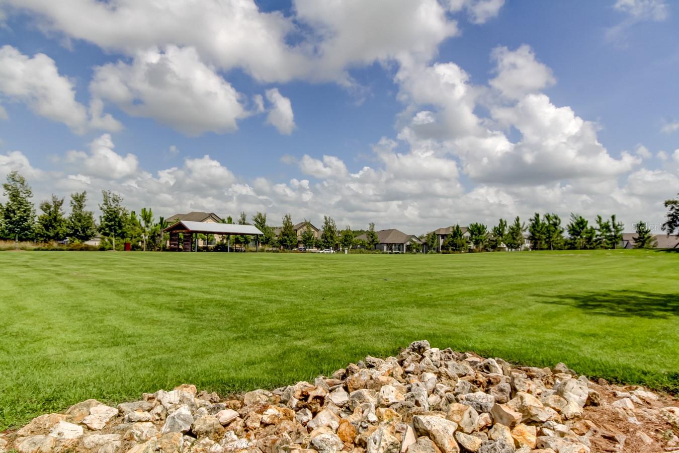 Odessa, Florida, 33556, United States, 5 Bedrooms Bedrooms, ,4 BathroomsBathrooms,Residential,Active,2045800