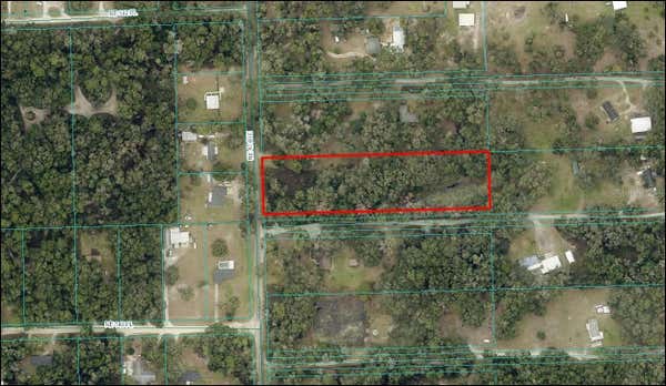 14155 NE 47TH AVE, ANTHONY, FL 32617 - Image 1