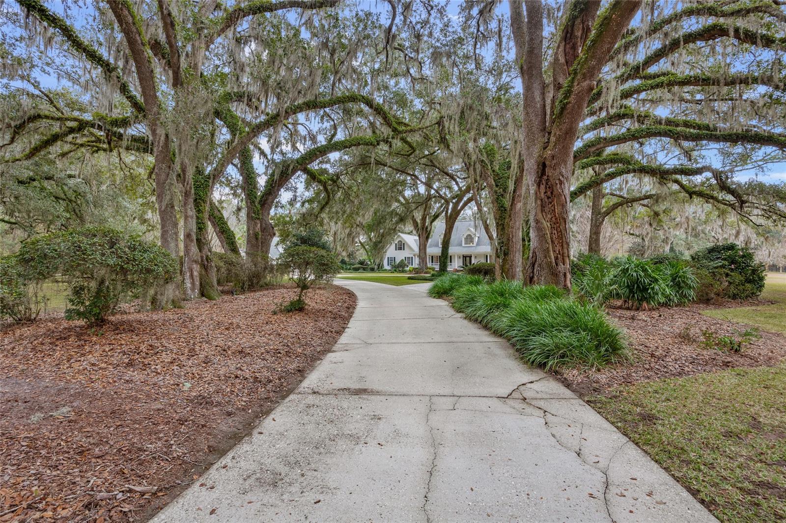 Alachua, Florida, 32615, United States, 5 Bedrooms Bedrooms, ,7 BathroomsBathrooms,Residential,Active,2009170