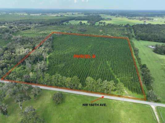 PARCEL B NW 160TH AVENUE, MORRISTON, FL 32668 - Image 1