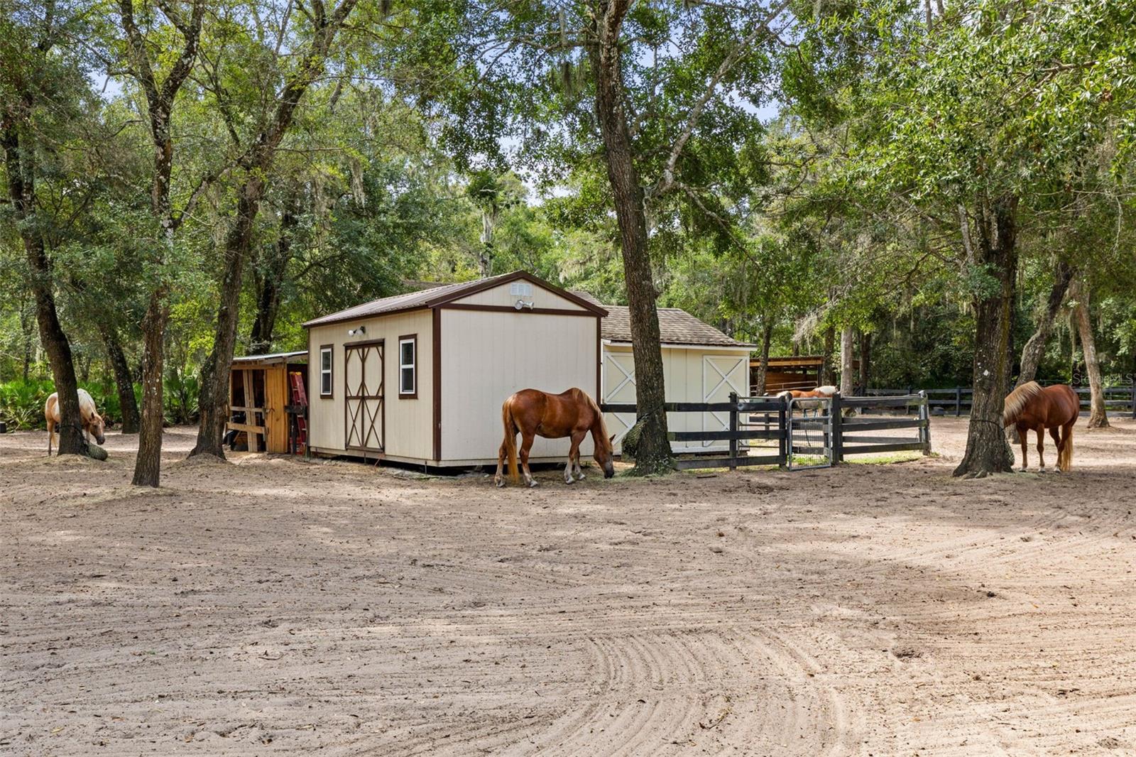 Flagler Beach, Florida, 32136, United States, 4 Bedrooms Bedrooms, ,5 BathroomsBathrooms,Residential,Active,2007152