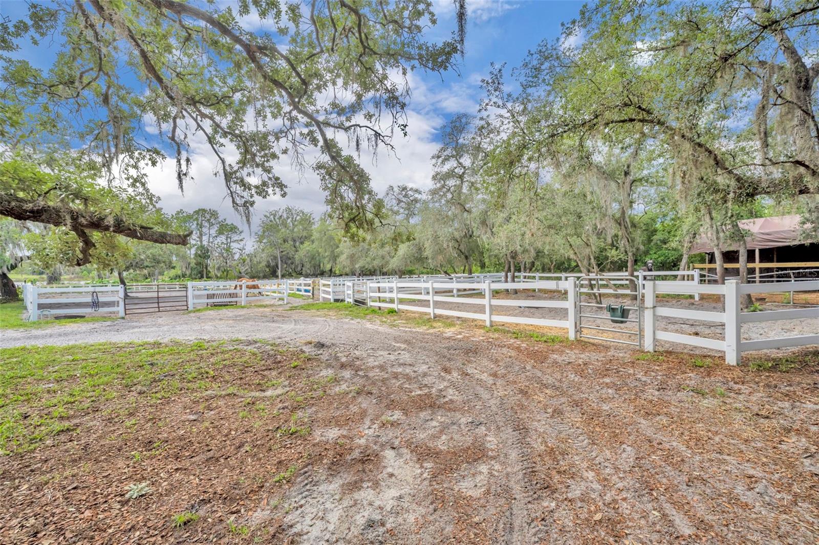 Geneva, Florida, 32732, United States, 5 Bedrooms Bedrooms, ,4 BathroomsBathrooms,Residential,Active,2044197