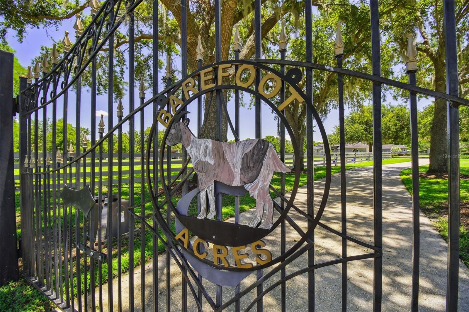 Odessa, Florida, 33556, United States, 5 Bedrooms Bedrooms, ,4 BathroomsBathrooms,Residential,Active,1884999