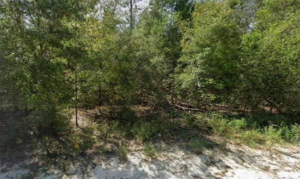 LOT 85 NE 83RD PLACE, BRONSON, FL 32621 - Image 1