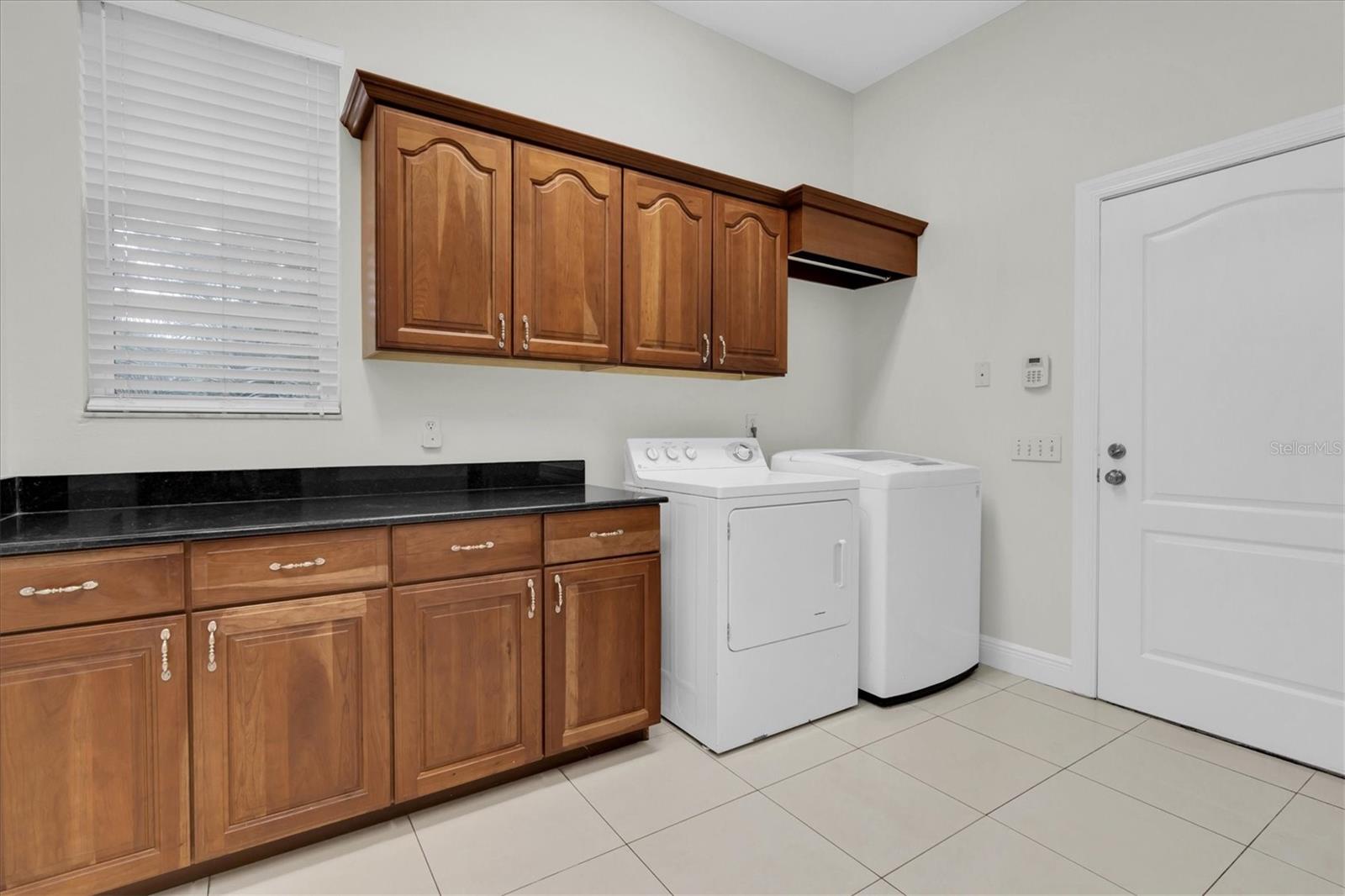 Odessa, Florida, 33556, United States, 4 Bedrooms Bedrooms, ,3 BathroomsBathrooms,Residential,Active,1871641