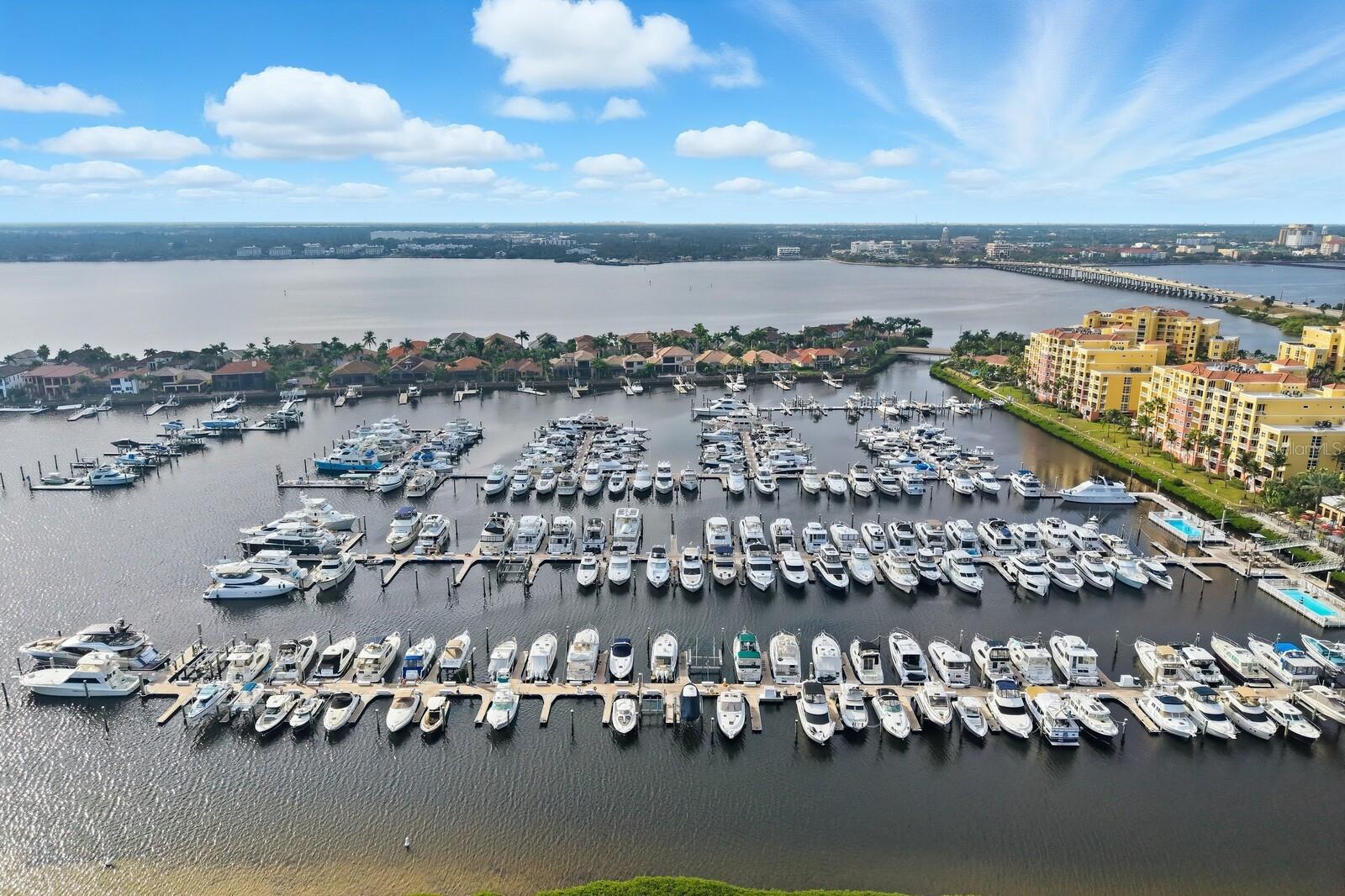 Palmetto, Florida, 34221, United States, 6 Bedrooms Bedrooms, ,6 BathroomsBathrooms,Residential,Active,1973552