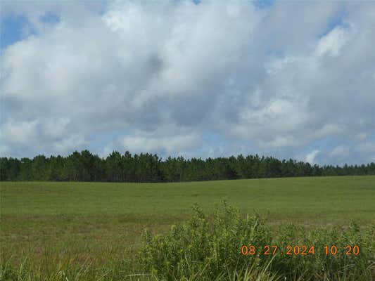 00 NW 72 PLACE, BELL, FL 32619 - Image 1