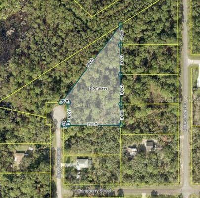 TBD CHINABERRY WAY, EUSTIS, FL 32736 - Image 1