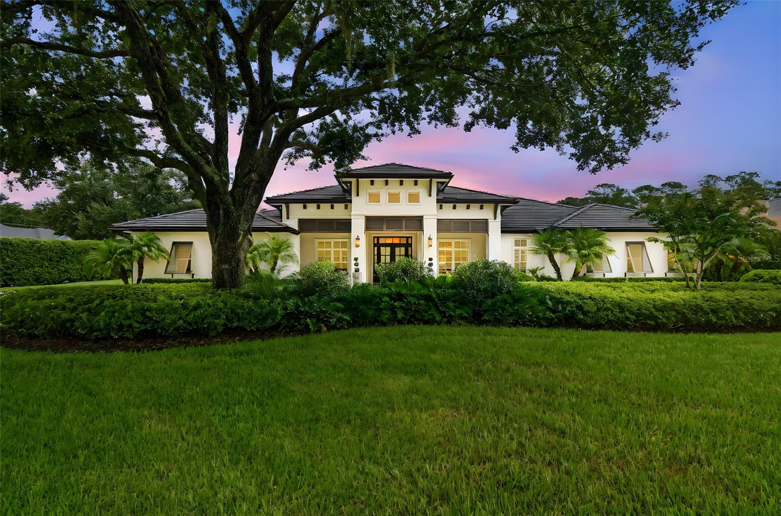 Odessa, Florida, 33556, United States, 4 Bedrooms Bedrooms, ,5 BathroomsBathrooms,Residential,Active,1929418