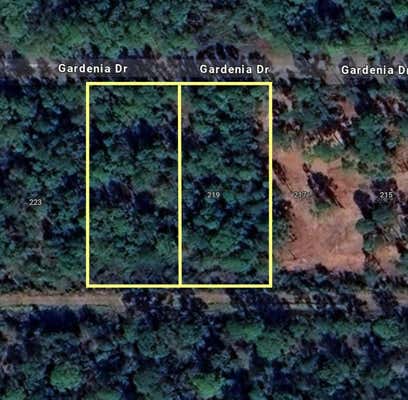 221 & 219 GARDENIA DRIVE, INDIAN LAKE ESTATES, FL 33855 - Image 1