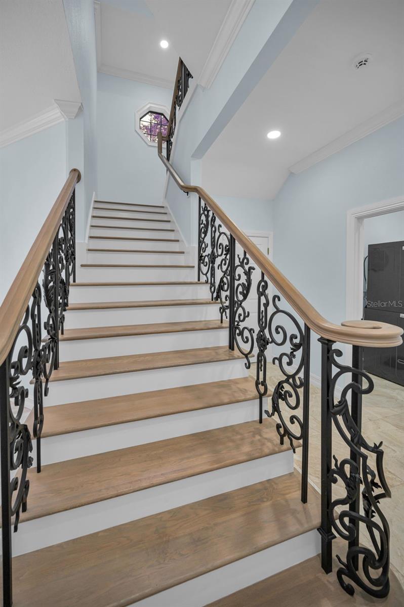 Trinity, Florida, 34655, United States, 4 Bedrooms Bedrooms, ,4 BathroomsBathrooms,Residential,Active,1900206