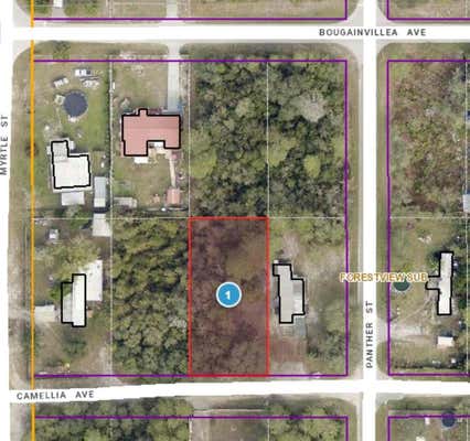 CAMELLIA AVE, PAISLEY, FL 32767 - Image 1