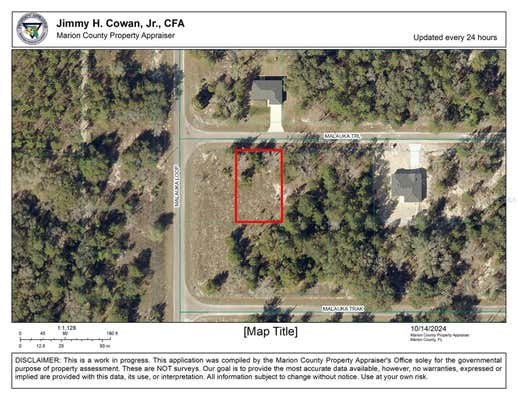 TBD MALAUKA TRAIL, OCKLAWAHA, FL 32179 - Image 1