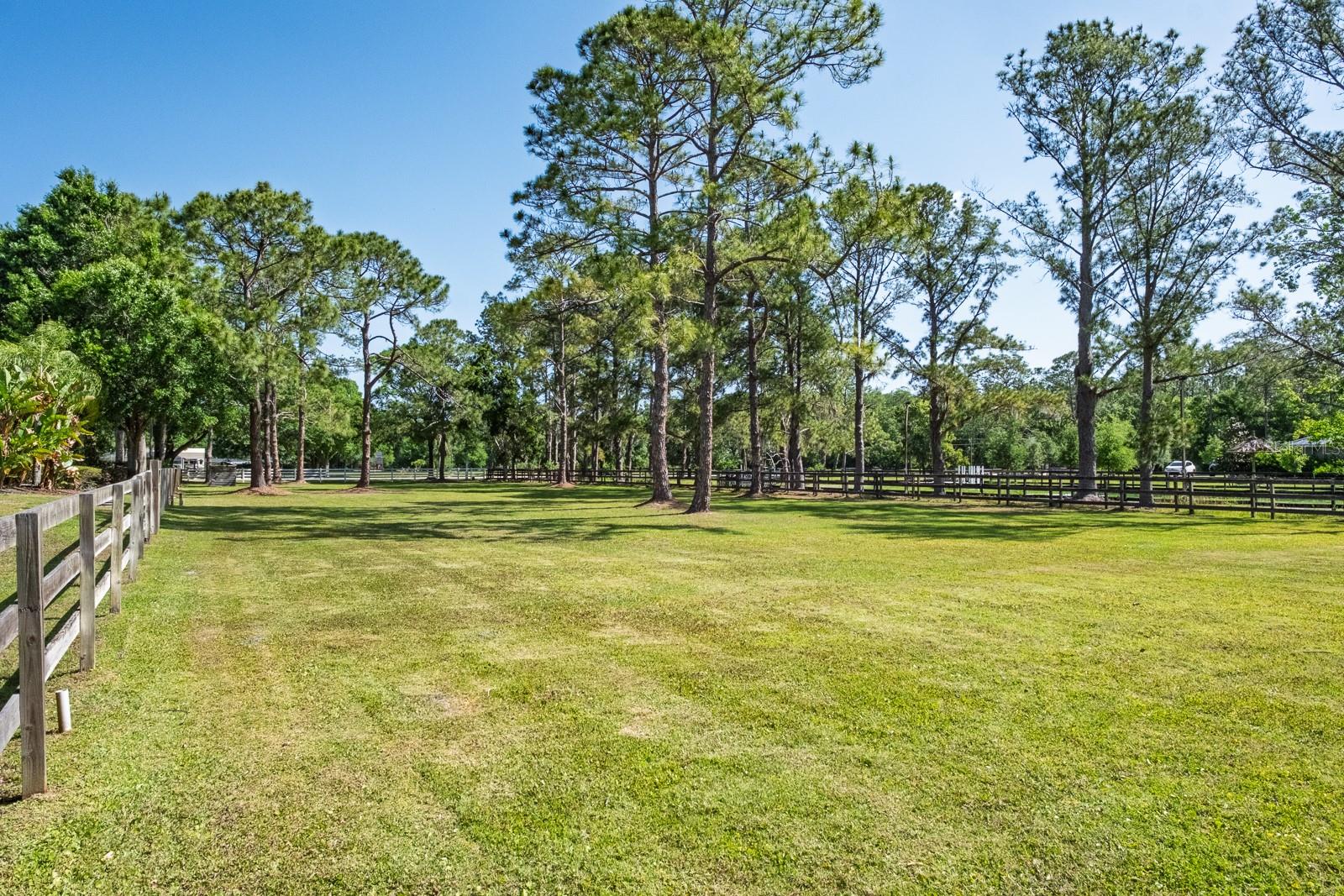 Tarpon Springs, Florida, 34688, United States, 4 Bedrooms Bedrooms, ,4 BathroomsBathrooms,Residential,Active,1841287